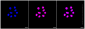 KD-Validated Anti-EHMT2 Rabbit Monoclonal Antibody